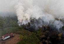 Kabut Asap Karhutla di Indonesia Bikin Malaysia Tutup 591 Sekolah, 197 Ribu Siswa Terdampak