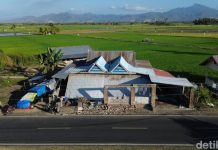 Kemenkes Bakal Beri Layanan Kesehatan Mental, Bantu Pulihkan Trauma Korban Gempa NTT