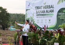 Kepala BPOM Resmikan Pusat Tanaman Obat Bahan Alam di Palembang Seluas 21 Ha