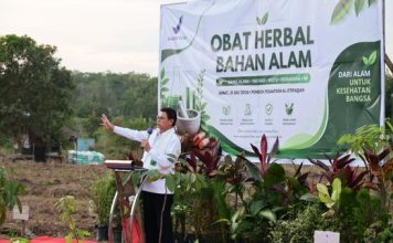 Kepala BPOM Resmikan Pusat Tanaman Obat Bahan Alam di Palembang Seluas 21 Ha