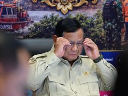 Prabowo Resmikan Groundbreaking PLTS 100 GWp di Bali Hari Ini
