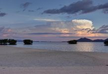 Indonesia Punya Tetangga Baru yang Bakal Merdeka 2030