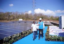 PLN Siap Optimalkan Energi Surya, PLTS 100 GWp Dorong Efisiensi dan Penguatan Energi Domestik