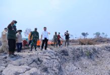 Tinjau Karhutla di Muba, Herman Deru Tekankan Pencegahan dan Keterlibatan Masyarakat