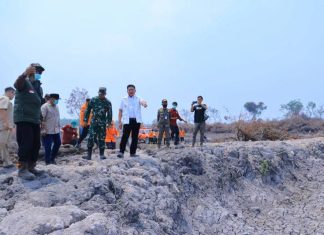 Tinjau Karhutla di Muba, Herman Deru Tekankan Pencegahan dan Keterlibatan Masyarakat