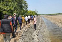 PLN UID S2JB Percepat Elektrifikasi Desa, Survei Rencana PLTS Komunal di 12 Desa Sumsel