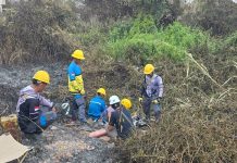 STOP Karhutla! Aksi PLN UP3 Palembang Pulihkan Infrastruktur Terdampak di Tanjung Api-Api