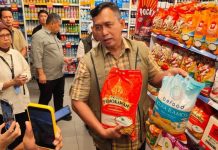 BULOG Gelontorkan 75 Ribu Ton Beras Premium per Bulan ke Ritel Modern, Bakal Tersedia di Banyak Kota