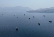 Iran Umumkan Zona Terlarang Baru di Dekat Selat Hormuz, Apa Saja?