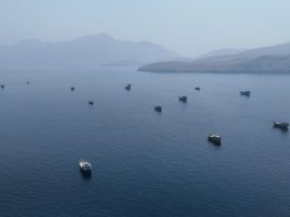 Iran Umumkan Zona Terlarang Baru di Dekat Selat Hormuz, Apa Saja?
