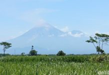 Semeru Erupsi 29 Kali dalam 6 Jam, Warga Dilarang Beraktivitas di Radius 5 Km