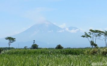 Semeru Erupsi 29 Kali dalam 6 Jam, Warga Dilarang Beraktivitas di Radius 5 Km