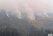 Emisi Karhutla Indonesia Tertinggi di Dunia, Lampaui Rusia