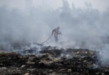 Menhut Cabut Izin 5 Perusahaan Terkait Karhutla di Kalimantan