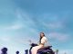 New Honda Stylo 160 Semakin Fashionable dengan Pilihan Warna Baru
