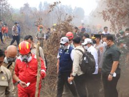 Perkuat Penanganan Karhutla, Sumsel Berpeluang Jadi Pusat Pengembangan Teknologi Realiza
