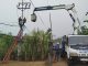 Semangat Sumpah Pemuda, PLN Hadir Tingkatkan Keandalan Listrik untuk Masyarakat Jambi melalui Rotasi Trafo