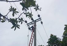 Cegah Gangguan Sejak Dini, PLN Perkuat Keandalan Jaringan Listrik di Penarik