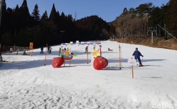 Jepang Terancam Kehilangan Ratusan Resor Ski Akibat Pemanasan Global