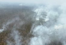 BNPB Kerahkan Heli Water Bombing Padamkan Karhutla Way Kambas Lampung