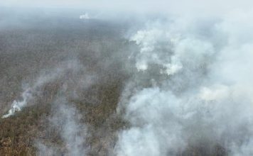 BNPB Kerahkan Heli Water Bombing Padamkan Karhutla Way Kambas Lampung