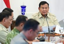Prabowo Perintahkan Karhutla di Tanjung Puting Jadi Perhatian Khusus